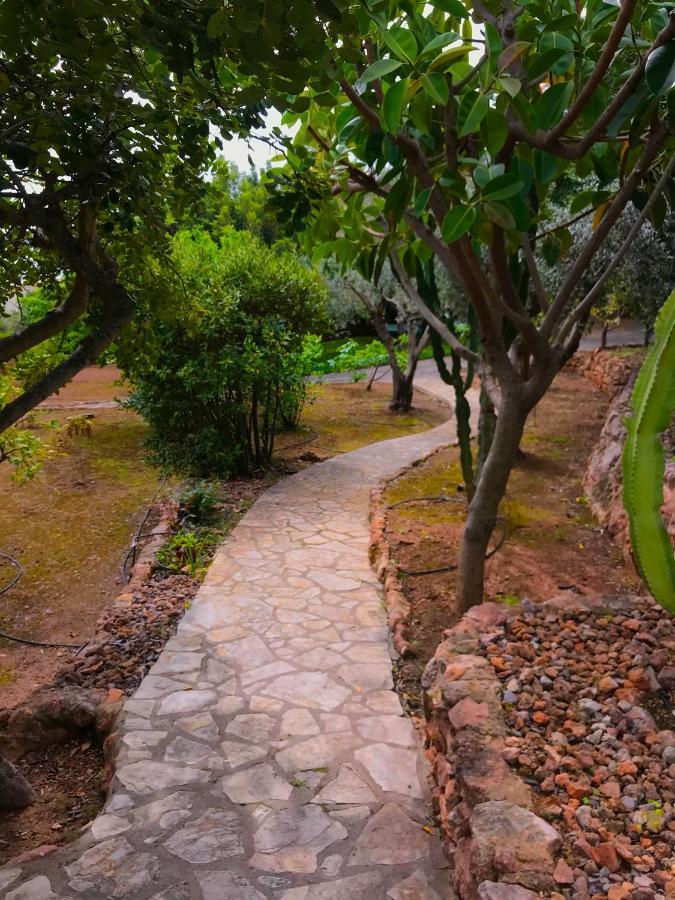 Villa La Torreta Ref 056 Castellón de la Plana Eksteriør billede