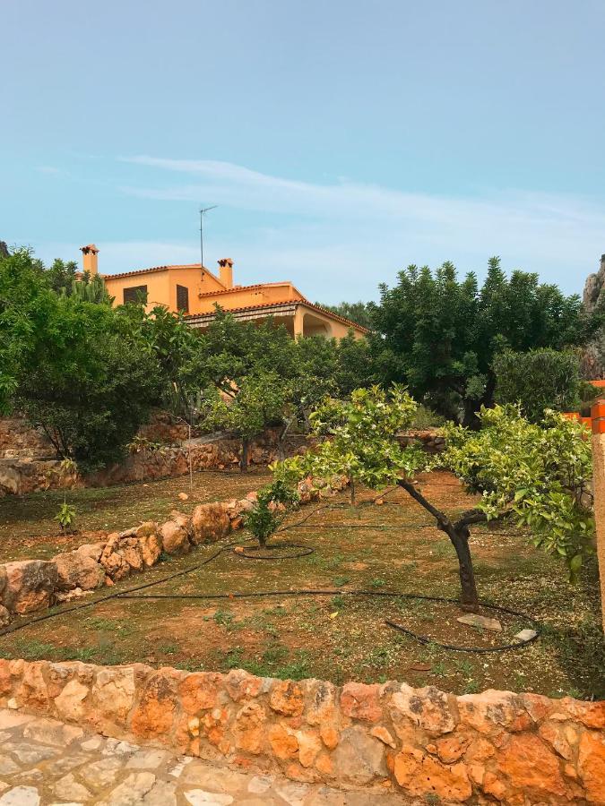 Villa La Torreta Ref 056 Castellón de la Plana Eksteriør billede
