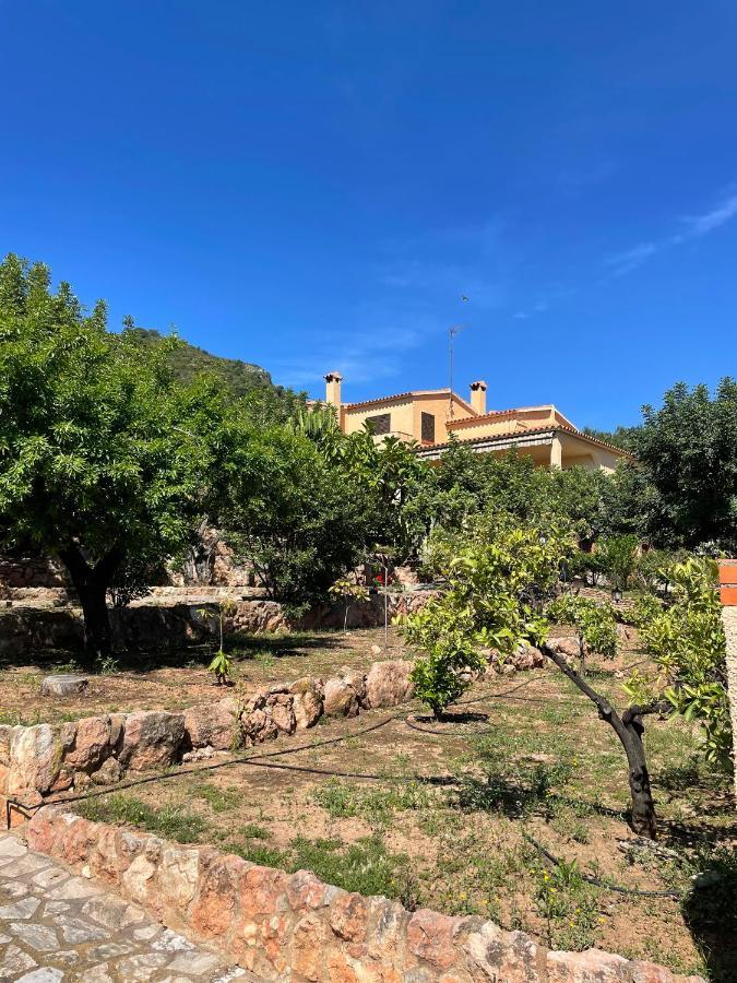 Villa La Torreta Ref 056 Castellón de la Plana Eksteriør billede